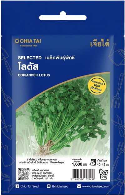 ผักชีโลตัสOPเจียไต๋SE*100